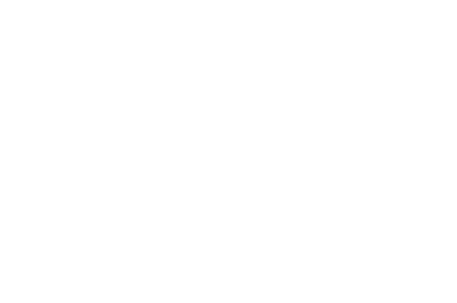 OFFICIAL SELECTION - International Celebration of Cinema - Best Screenplay - 2025